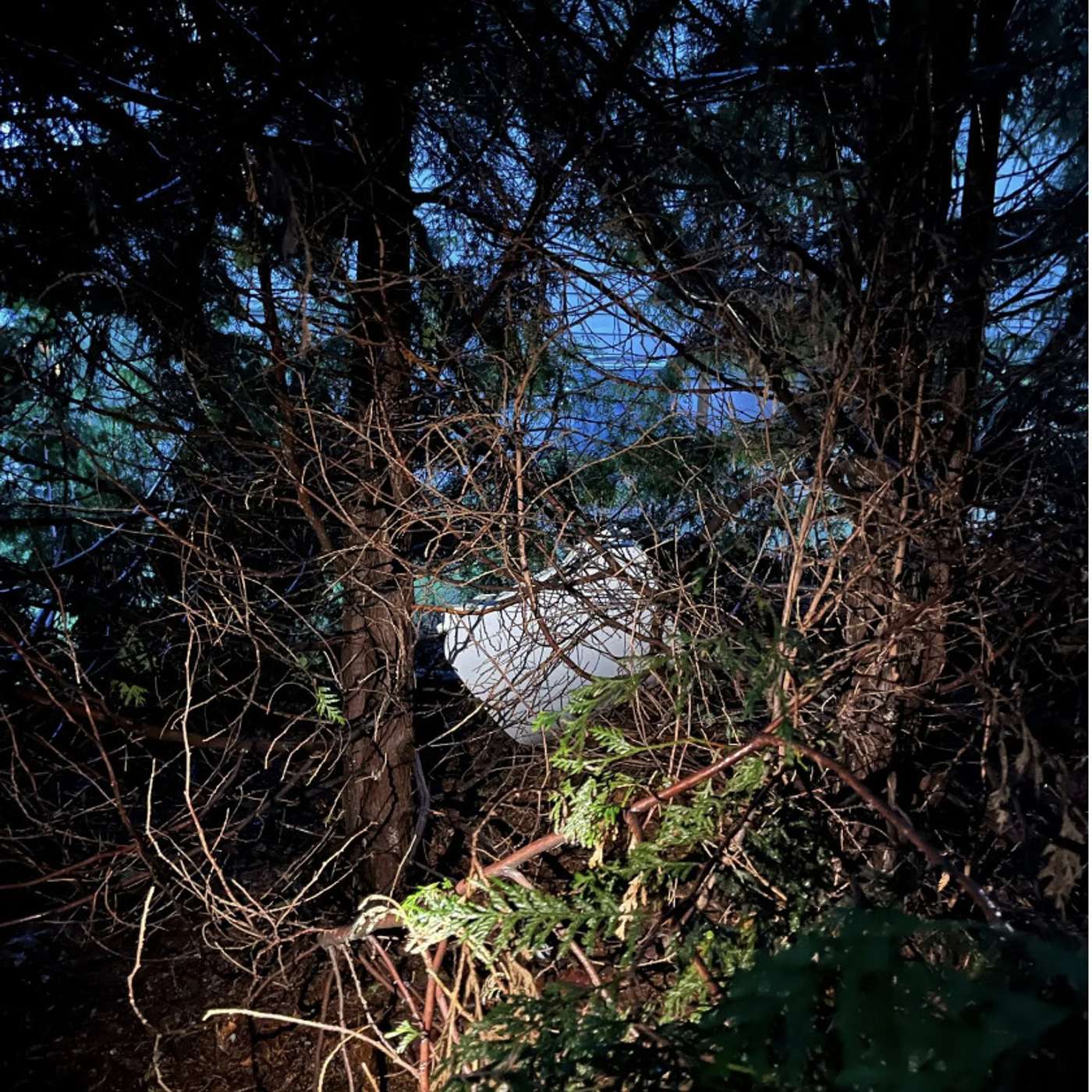 Boeing 737 Max 9 Midair Scare Leads to Global Grounding and Investigation, French PM Borne Resigns Amid Immigration Law Dispute, Escalating Ukraine-Russia Conflict, and more...