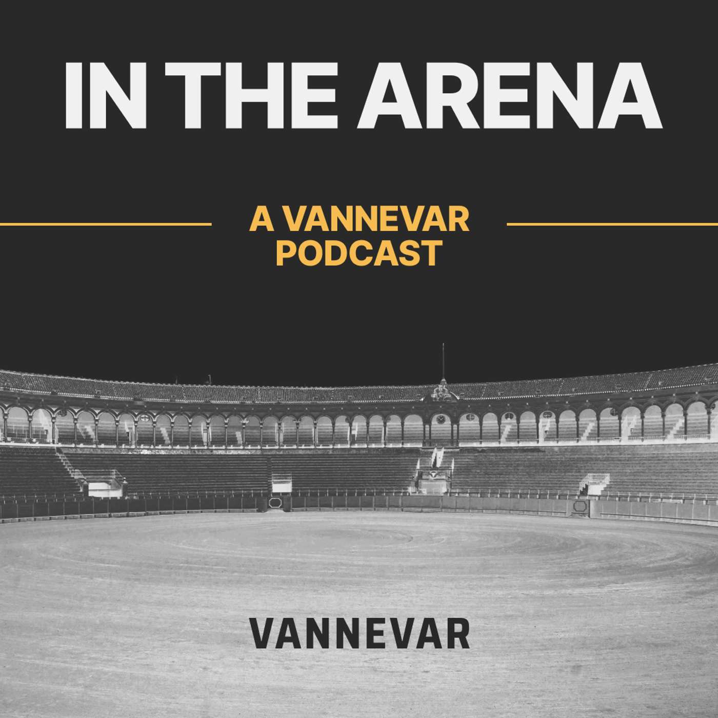 In The Arena podcast artwork