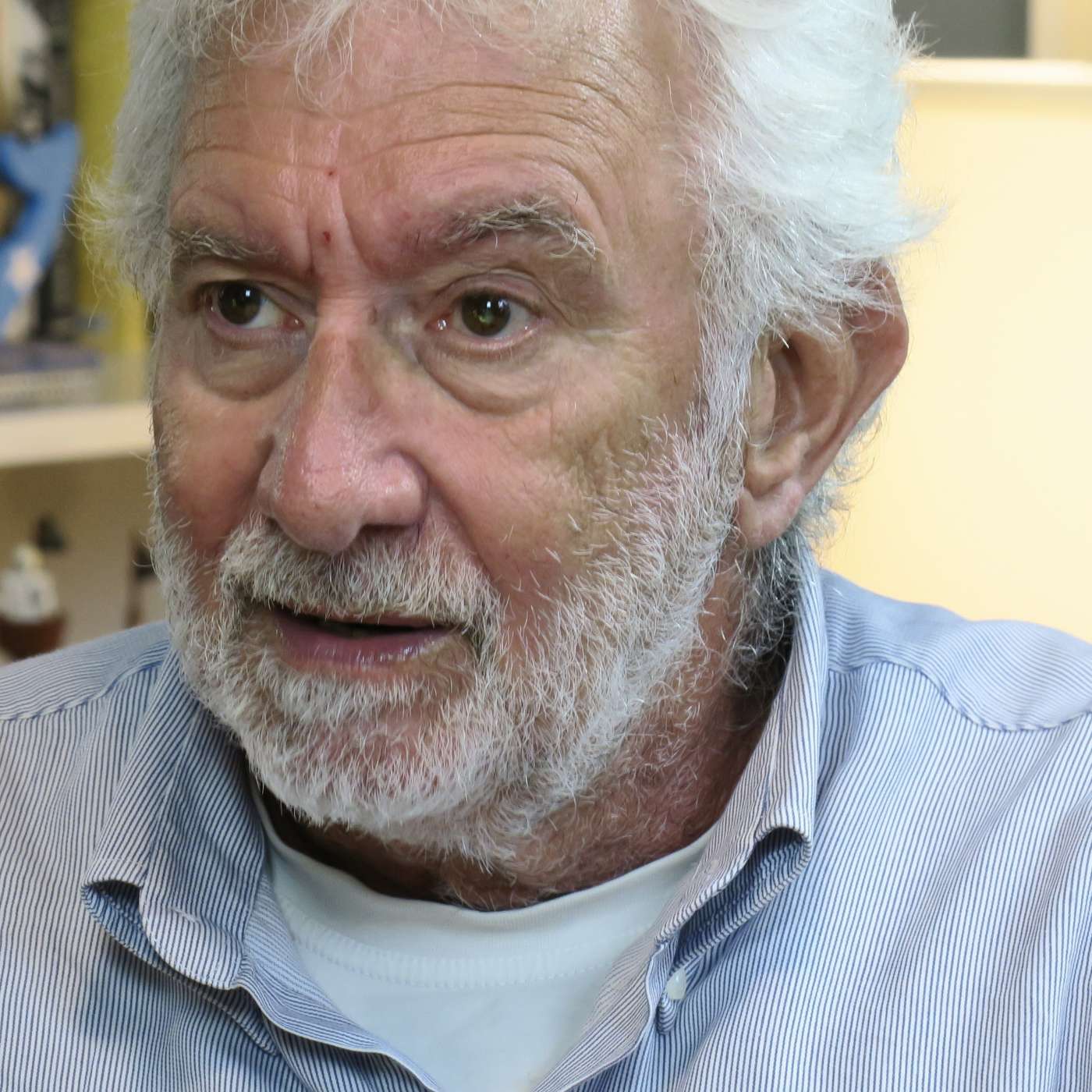 Pera Janjatović: muzički novinar i rok kritičar, „ EXYU rok enciklopedija”, Agelast 194