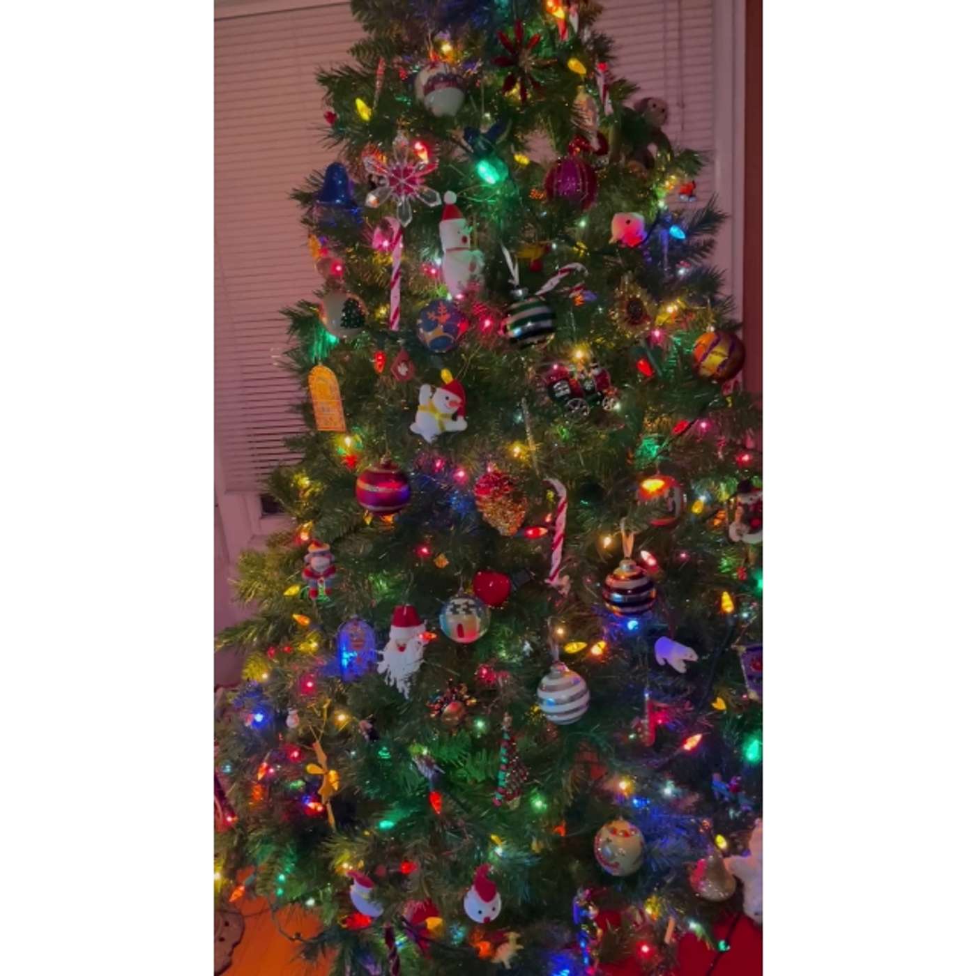 December 15, 2025 The Everything Show