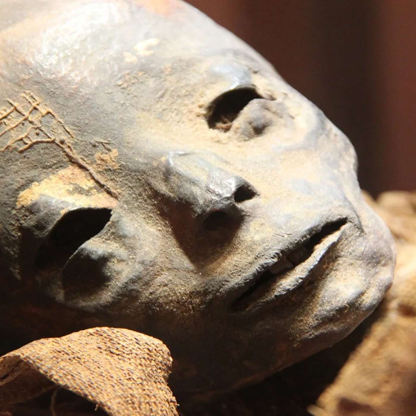 Mummy Uncovers Bubonic Plague Evidence, KAIST Develops Reversible Cancer Therapy, Researchers Create Ant-Inspired Chip, Scientists Warn of Volcanic Eruption, and more...