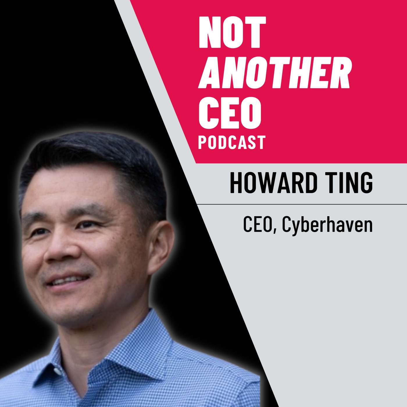 Not Another CEO Podcast