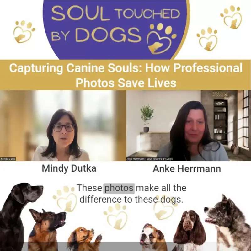 Mindy Dutka - Capturing Canine Souls: How Professional Photos Save Lives