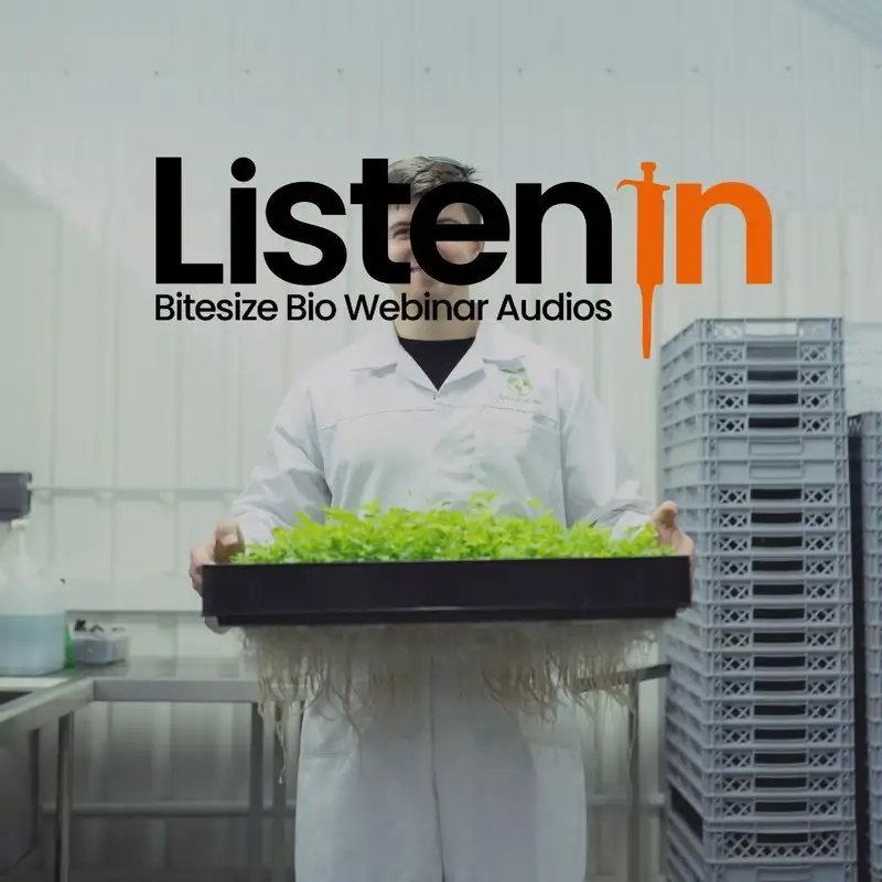 The Art of Going Slow: Why Scientists Need to Slow Down