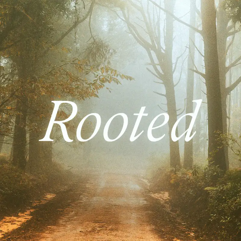 Rooted: Week 3
