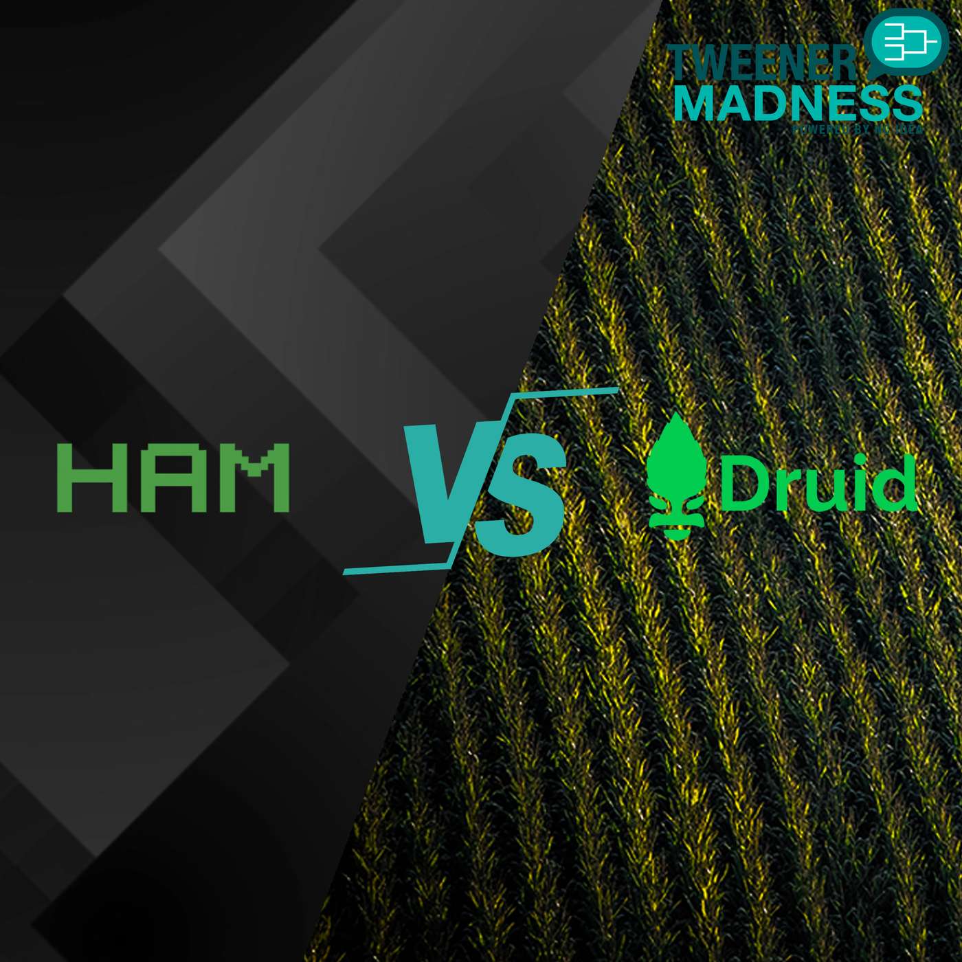 🏆 Tweener Madness Championship: HAM vs Druid AgTech: AITech vs. AgTech for the Ultimate $25K Prize...Who Will Win!?