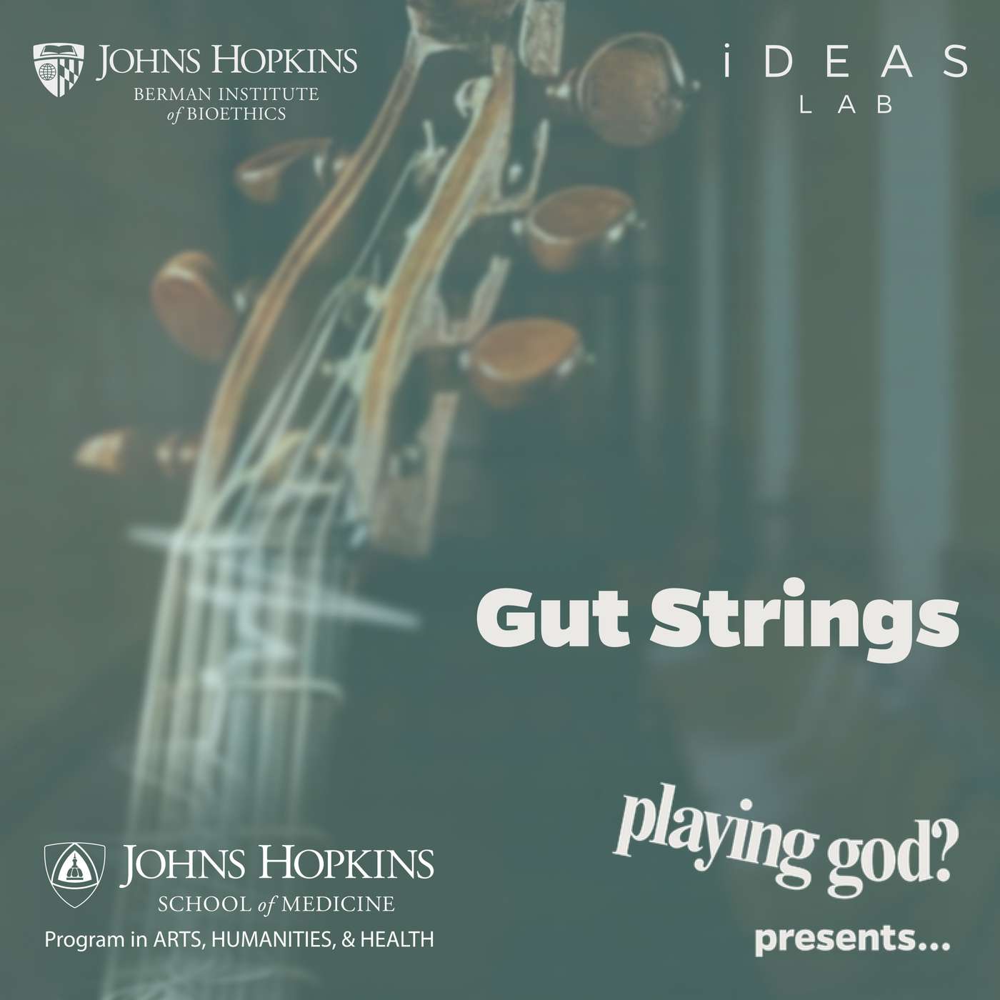 Gut Strings
