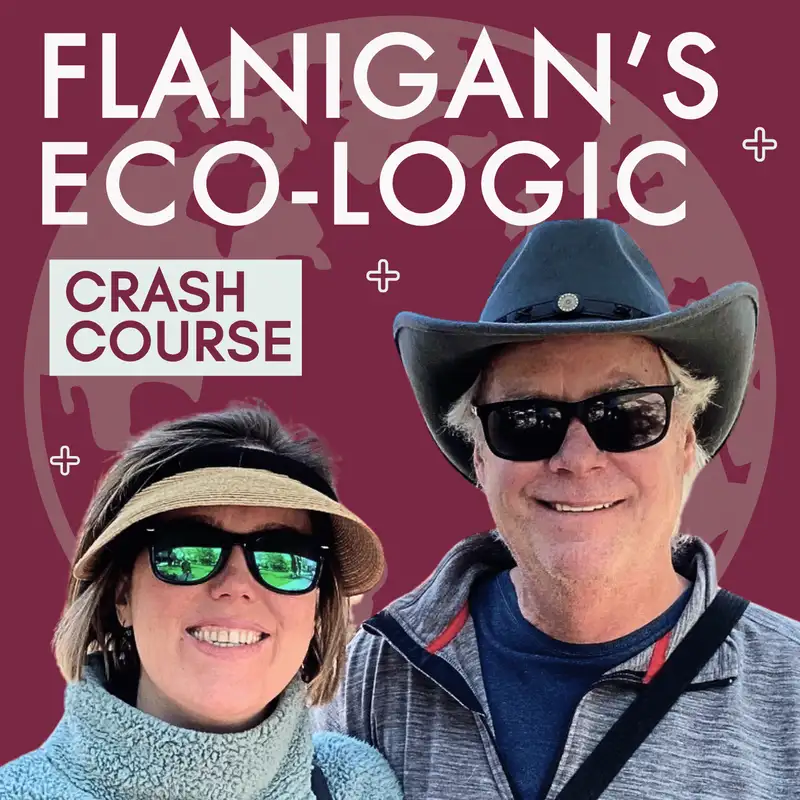 Ted and Sierra Flanigan's Clean Energy Crash Course: Mini Series on International Travels, Part 3