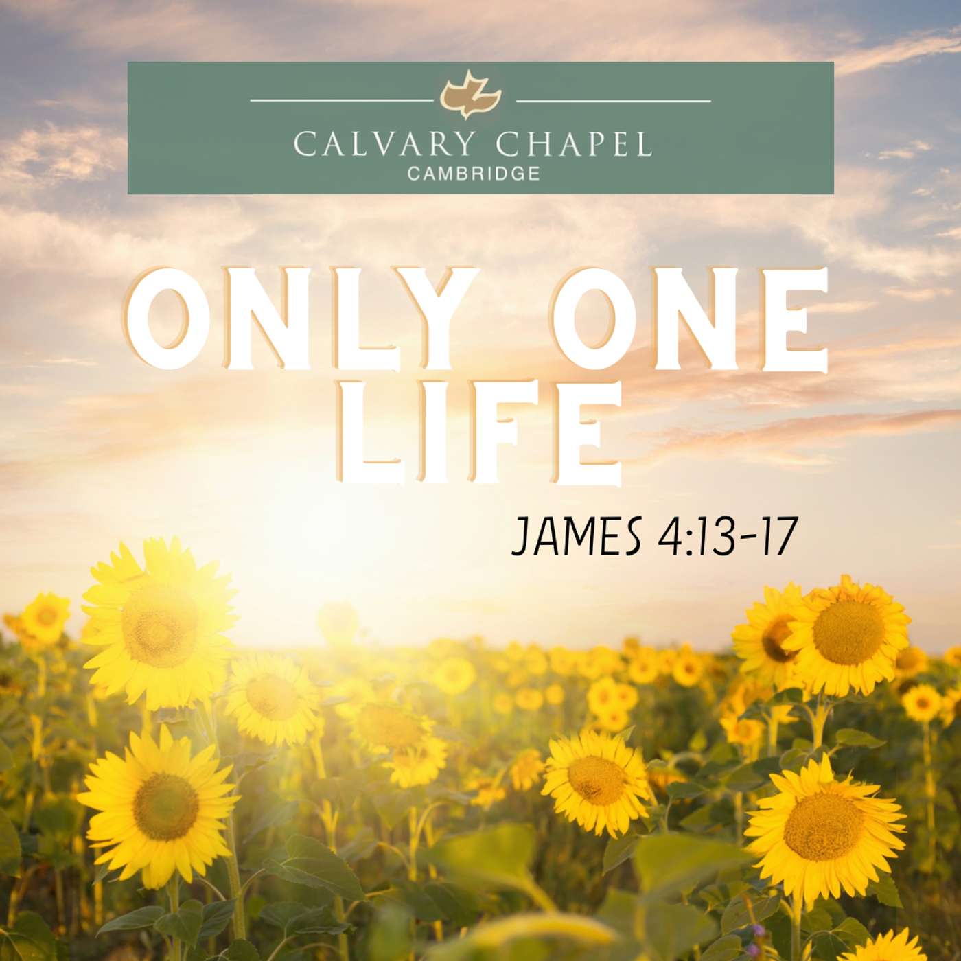 Only One Life episode artwork