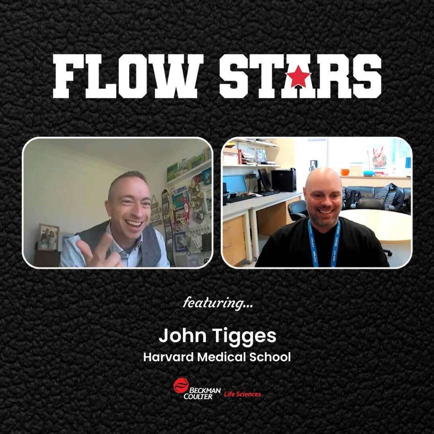 John Tigges (Harvard Medical School) John Tigges (Harvard Medical School)