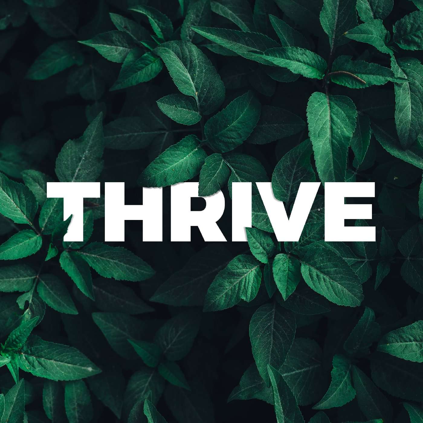 Lifeway Church - Weekend Services