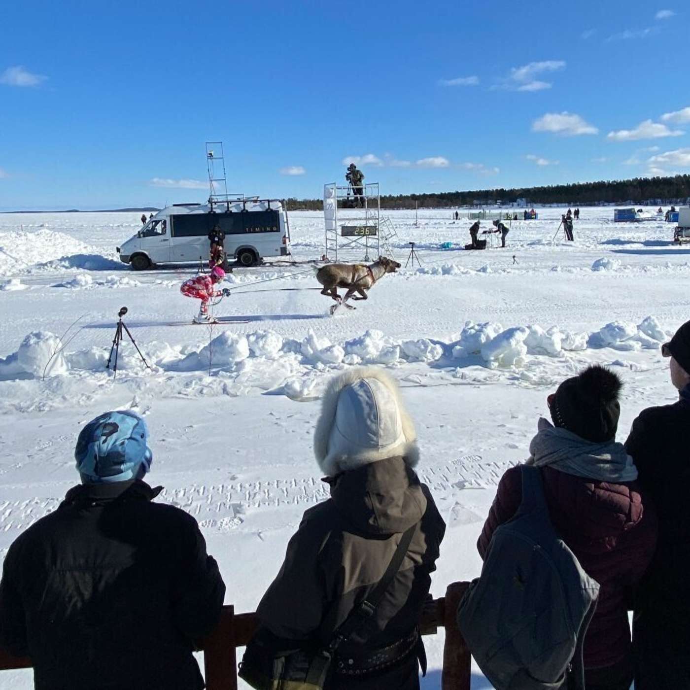 На льду озера Инари прошли 70-е ежегодные оленьи гонки