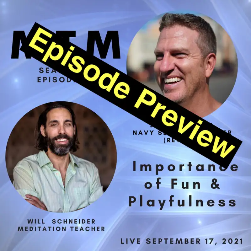 Preview of The Importance of Fun and Playfulness