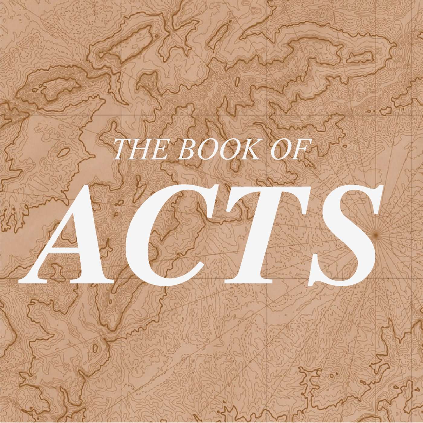 Acts: Signs You Are Part of a Genuine Jesus Movement