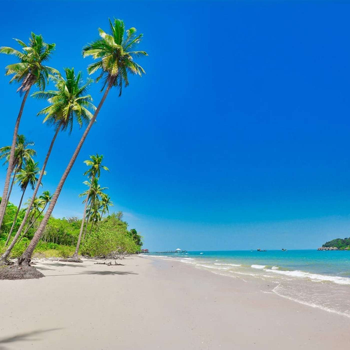 Digital Nomads Listen Up: What You Need To Know About The New DTV Visa of Thailand Digital Nomads Listen Up: What You Need To Know About The New DTV Visa of Thailand