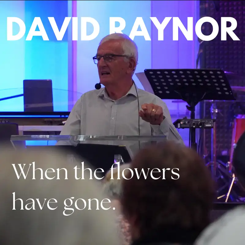 David Raynor: When the flowers have gone