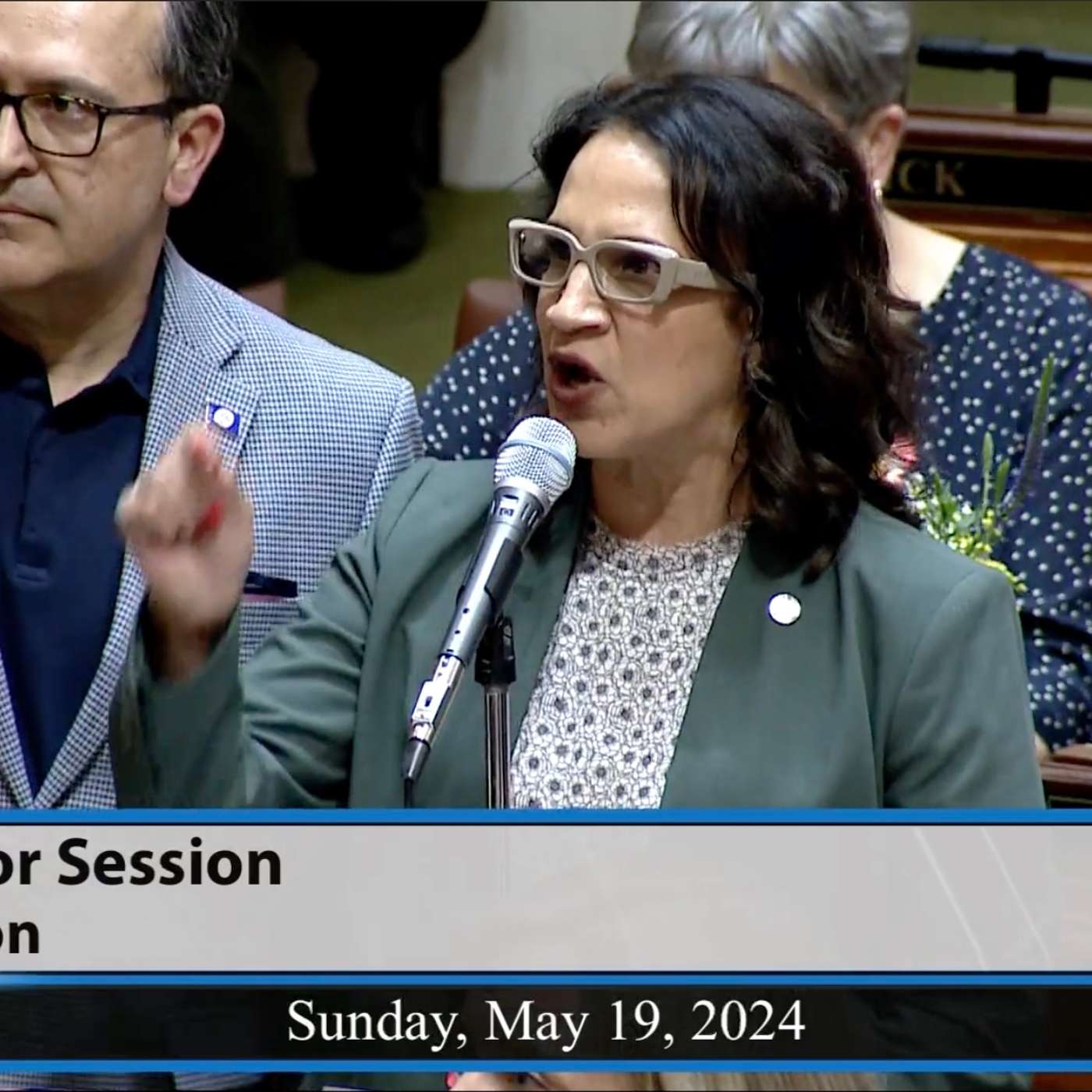 Why Some Question How Minnesota Legislators Are Passing Laws episode artwork