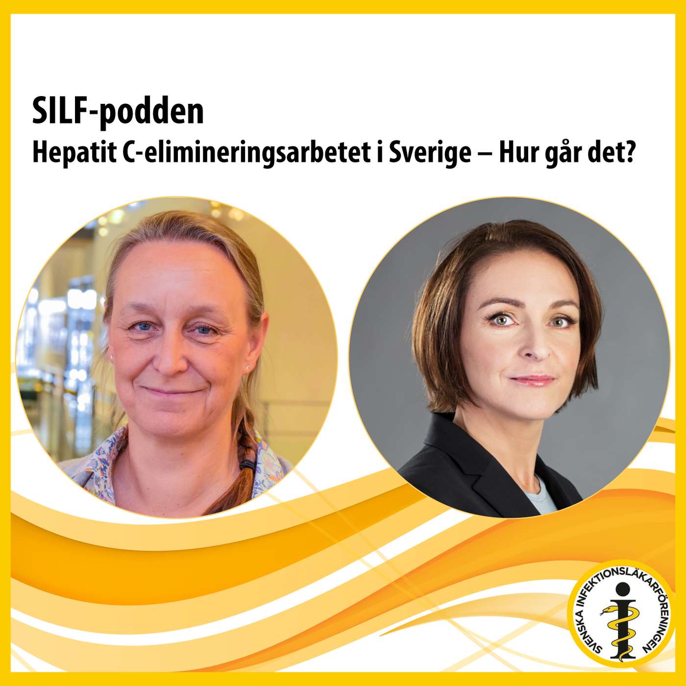 Hepatit C-elimineringsarbetet i Sverige – Hur går det? episode artwork