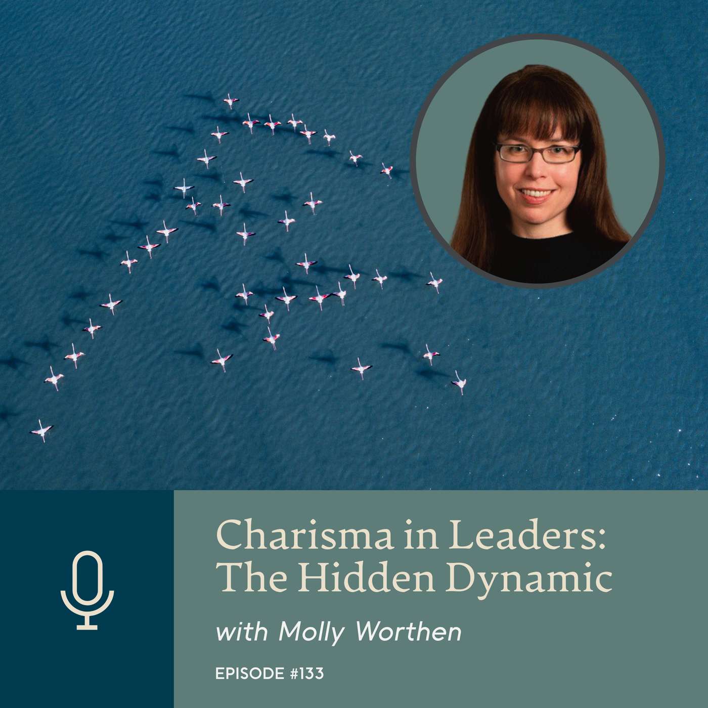 Charisma in Leaders: The Hidden Dynamic with Molly Worthen Charisma in Leaders: The Hidden Dynamic with Molly Worthen