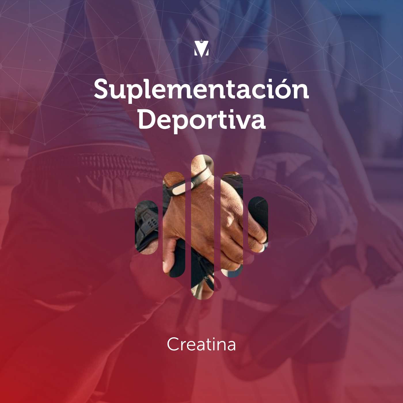 12 - SUPLEMENTACIÓN DEPORTIVA: Creatina episode artwork
