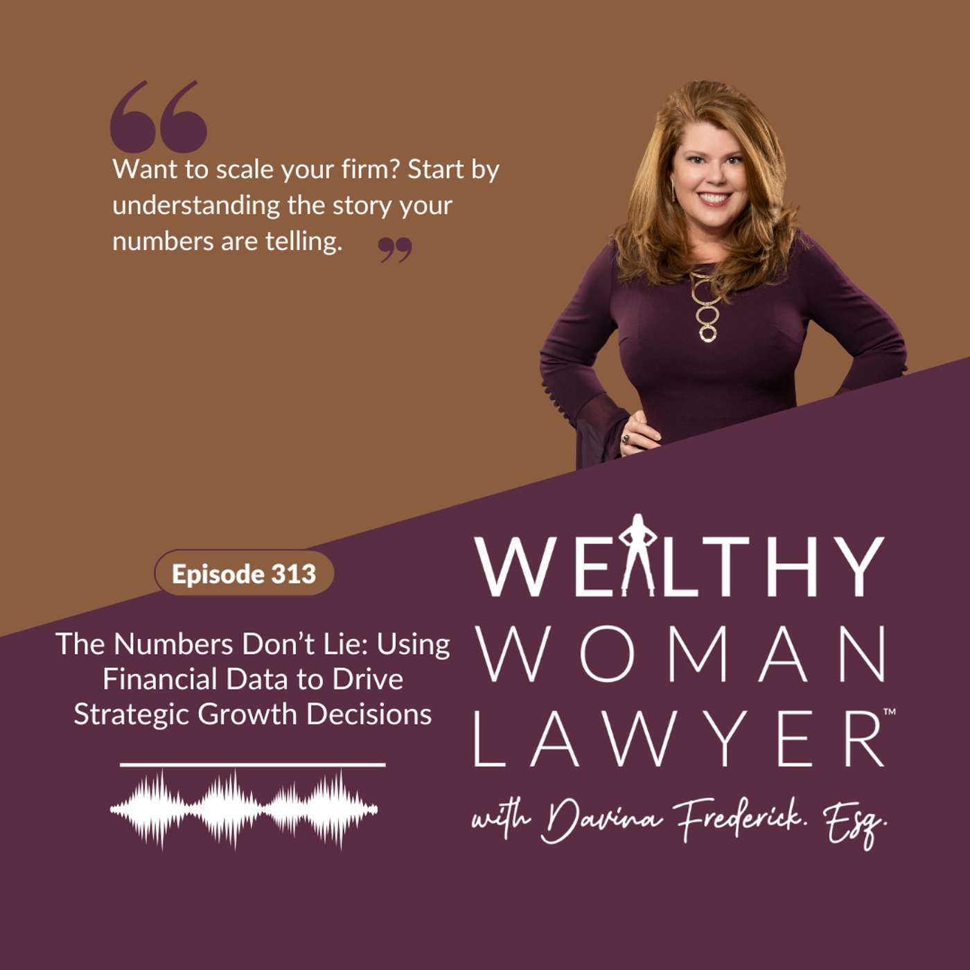Episode 313 | The Numbers Don’t Lie: Using Financial Data to Drive Strategic Growth Decisions Episode 313 | The Numbers Don’t Lie: Using Financial Data to Drive Strategic Growth Decisions