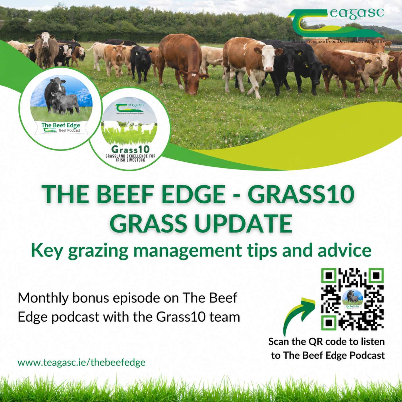Artwork for The Beef Edge