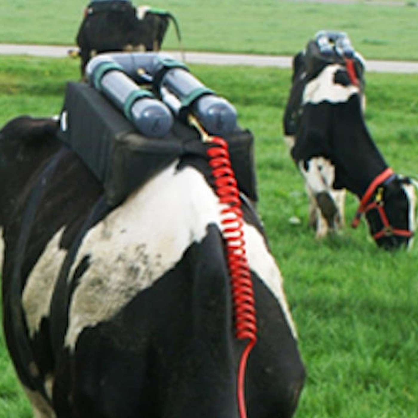 The plan for Irish agriculture to tackle greenhouse gas emissions