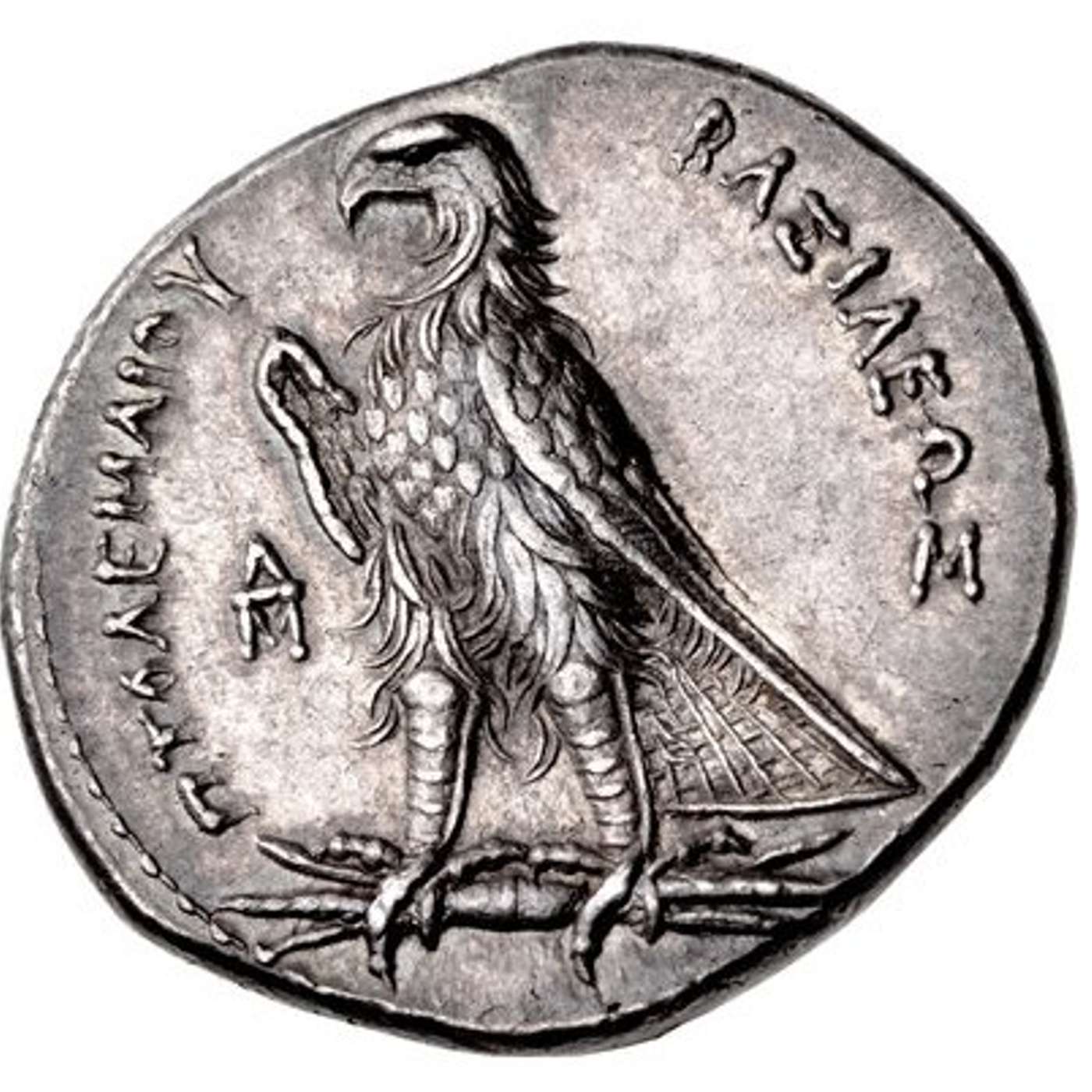 The Cabbage Coins Podcast