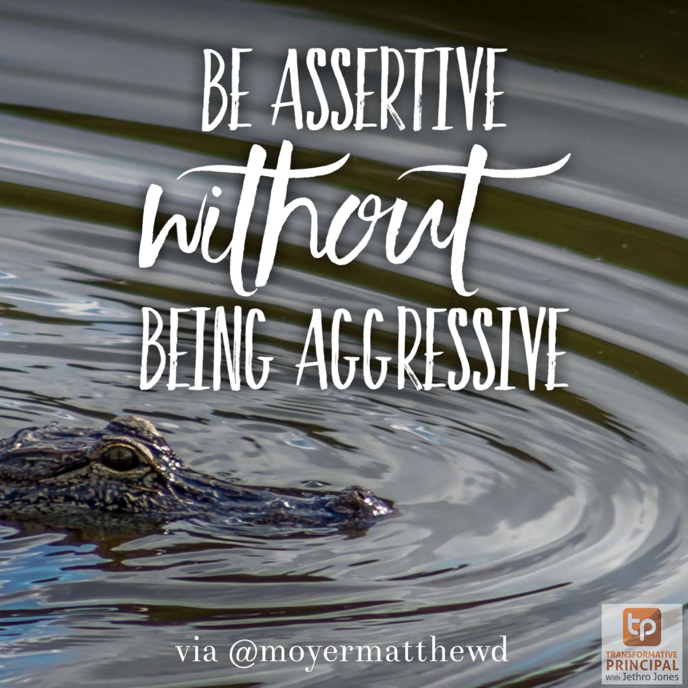 Transformative Principal