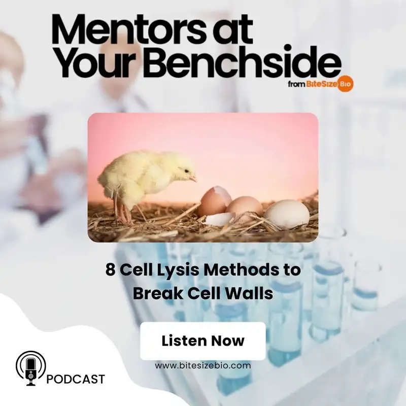 8 Cell Lysis Methods to Break Cell Walls