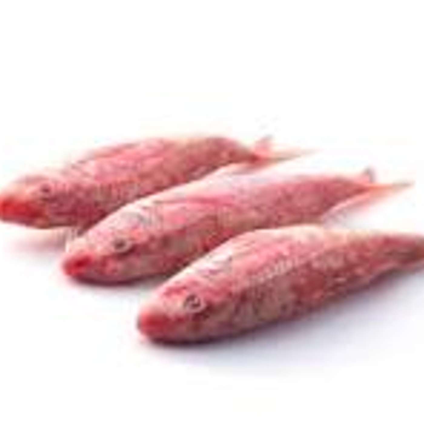 Filet de rouget et croustillant exotique à l’agastache