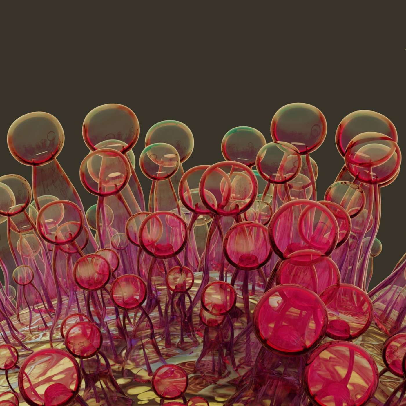 AROYA Office Hours LIVE