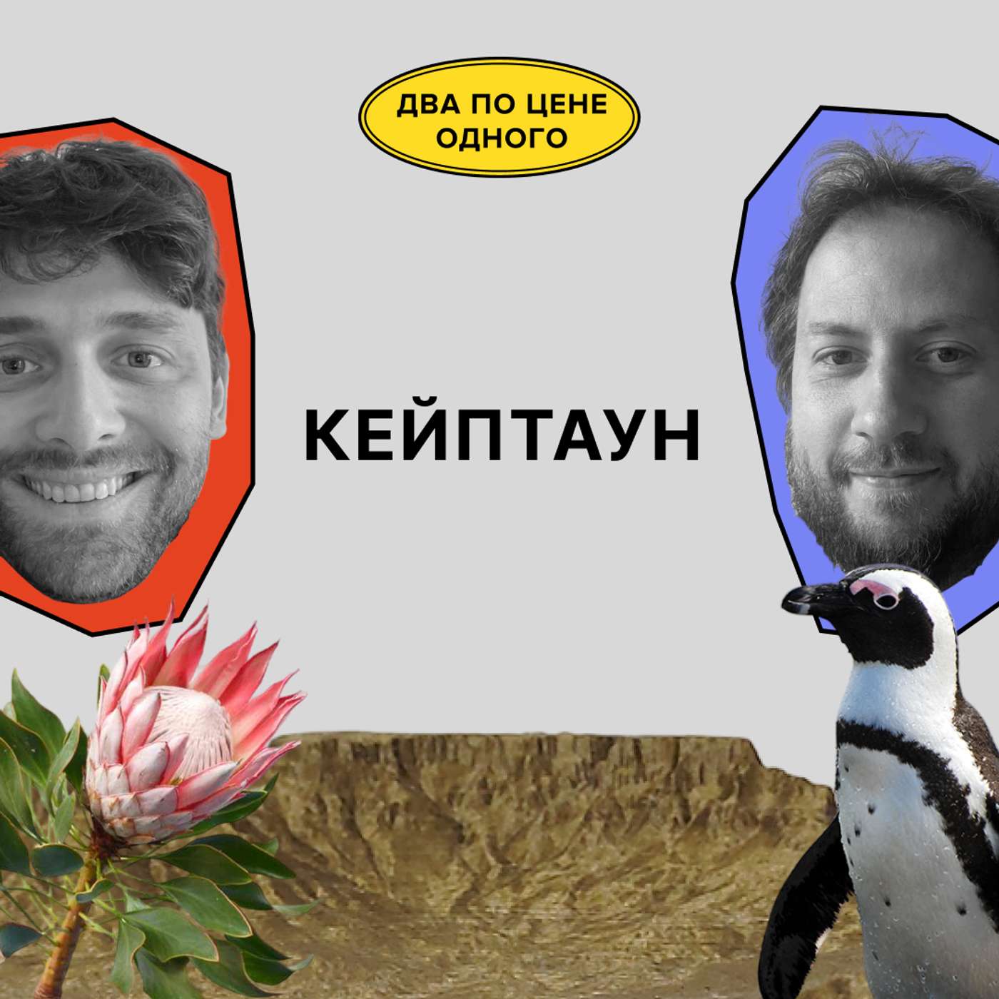 Представьте, что у вас есть дача. В Африке podcast