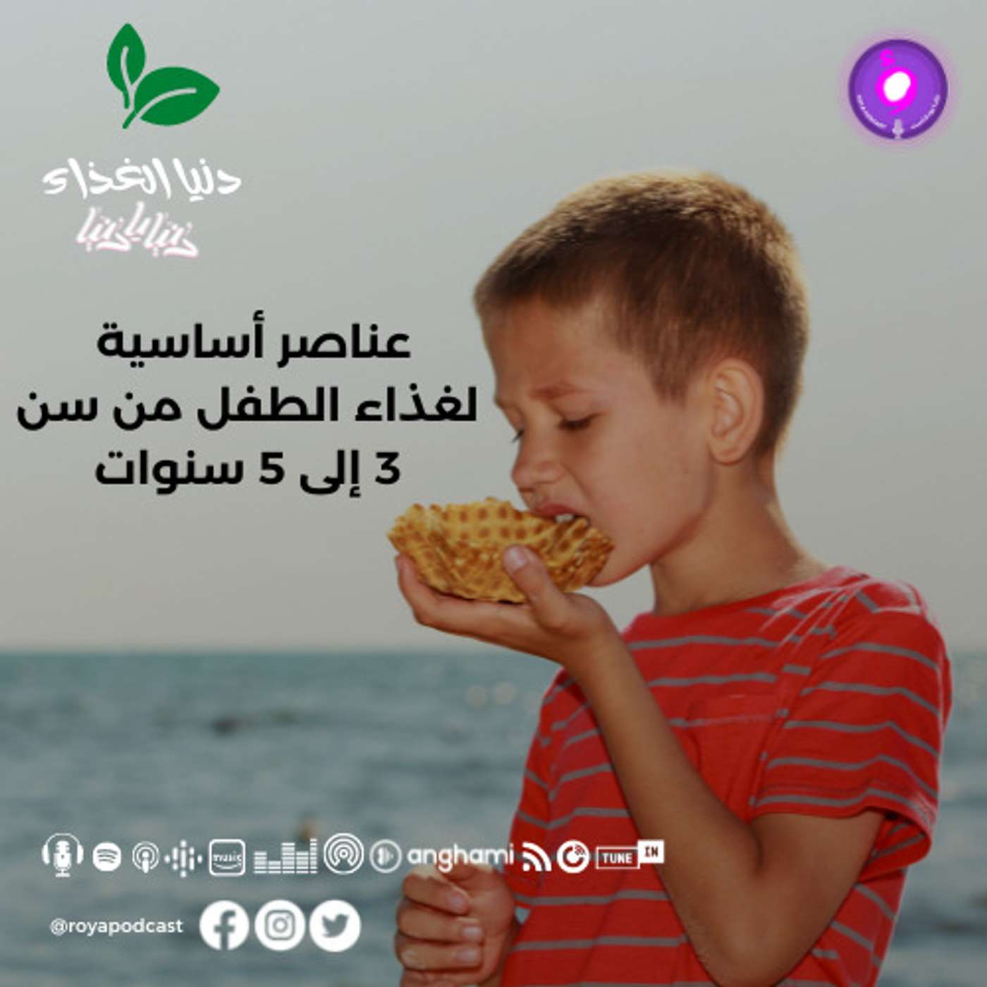 عناصر أساسية لغذاء الطفل من سن 3 إلى 5 سنوات