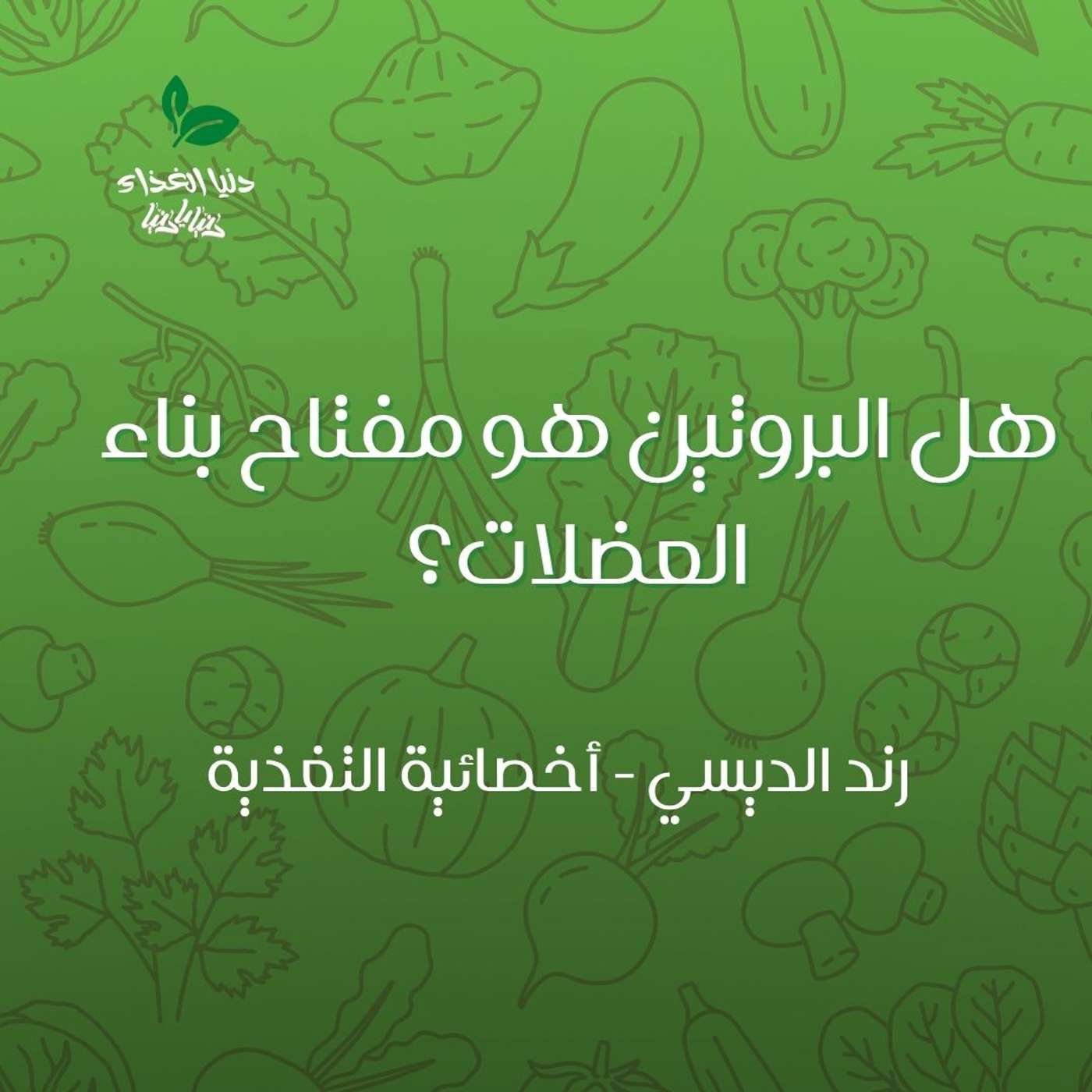 هل البروتين هو مفتاح بناء العضلات هل البروتين هو مفتاح بناء العضلات