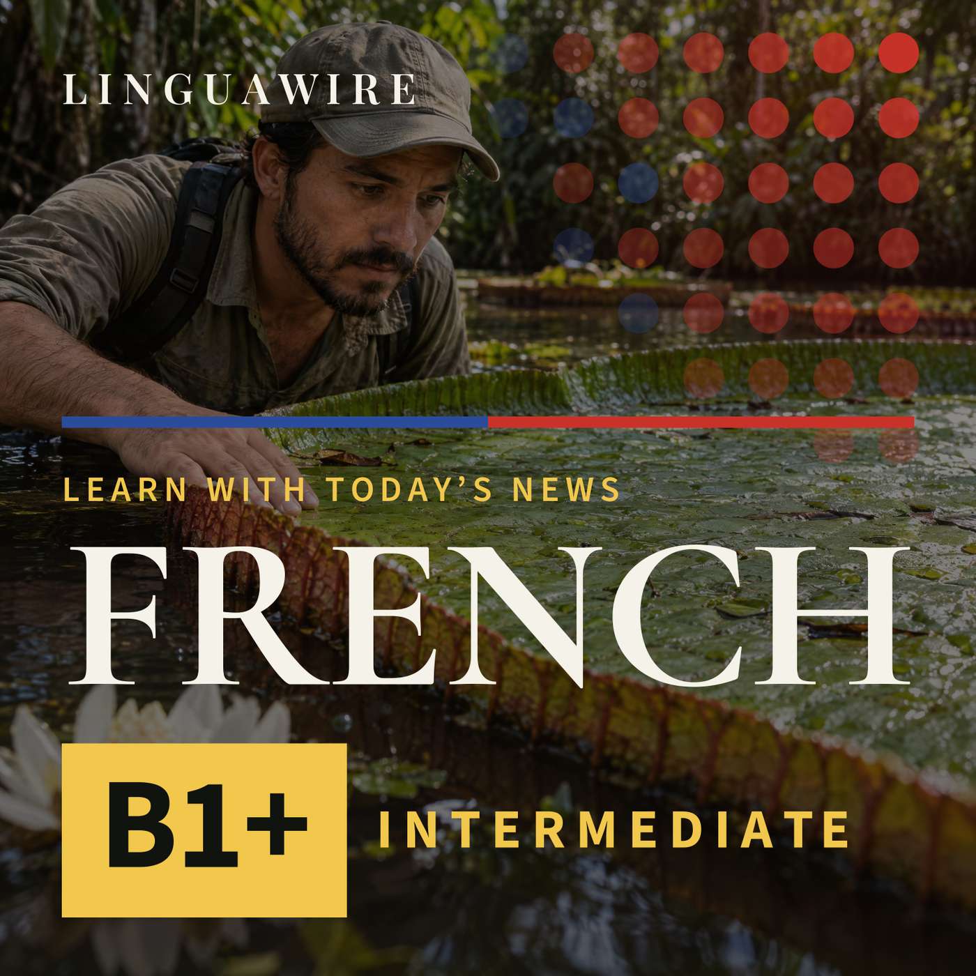 B1 French News | A Giant Waterlily Hidden in Colombia Faces Extinction