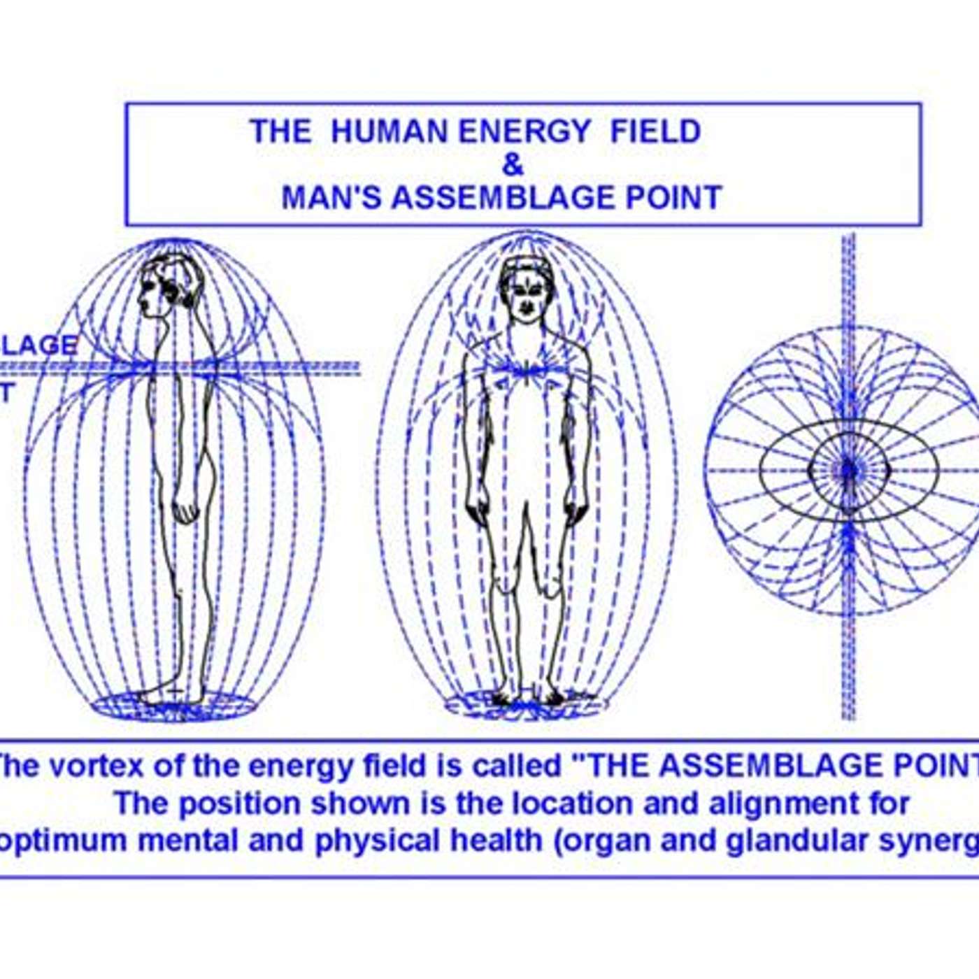 The Human Assemblage Point - What is it and How Do We Adjust it? episode artwork