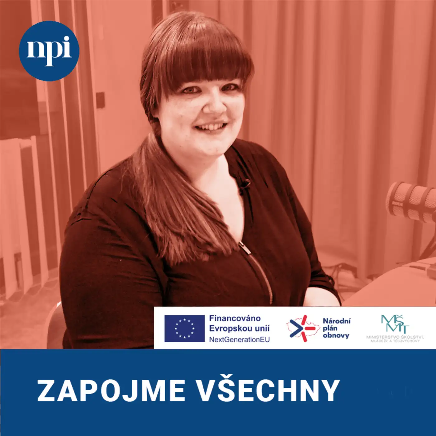 Strategie pro úspěšnou integraci a efektivní výuku žáků s odlišným mateřským jazykem na střední škole