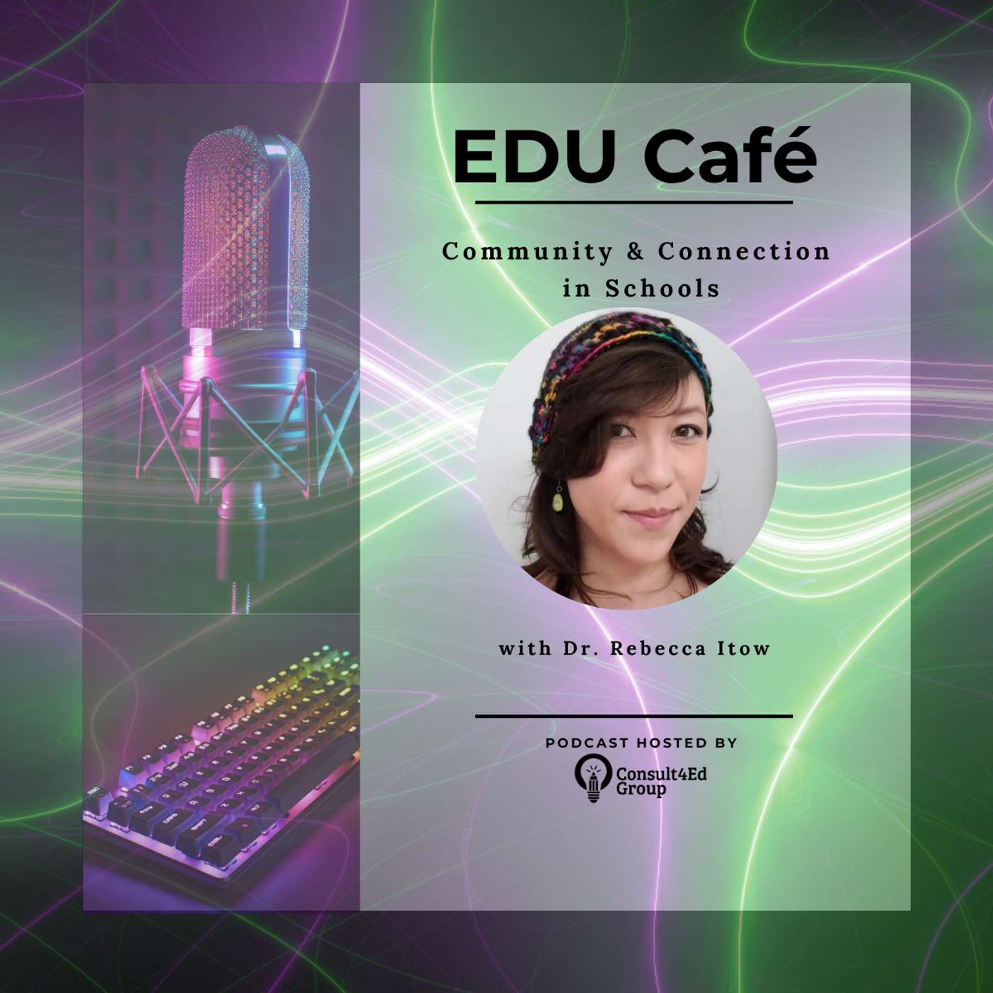 Community & Connection in Schools with Dr. Rebecca Itow episode artwork