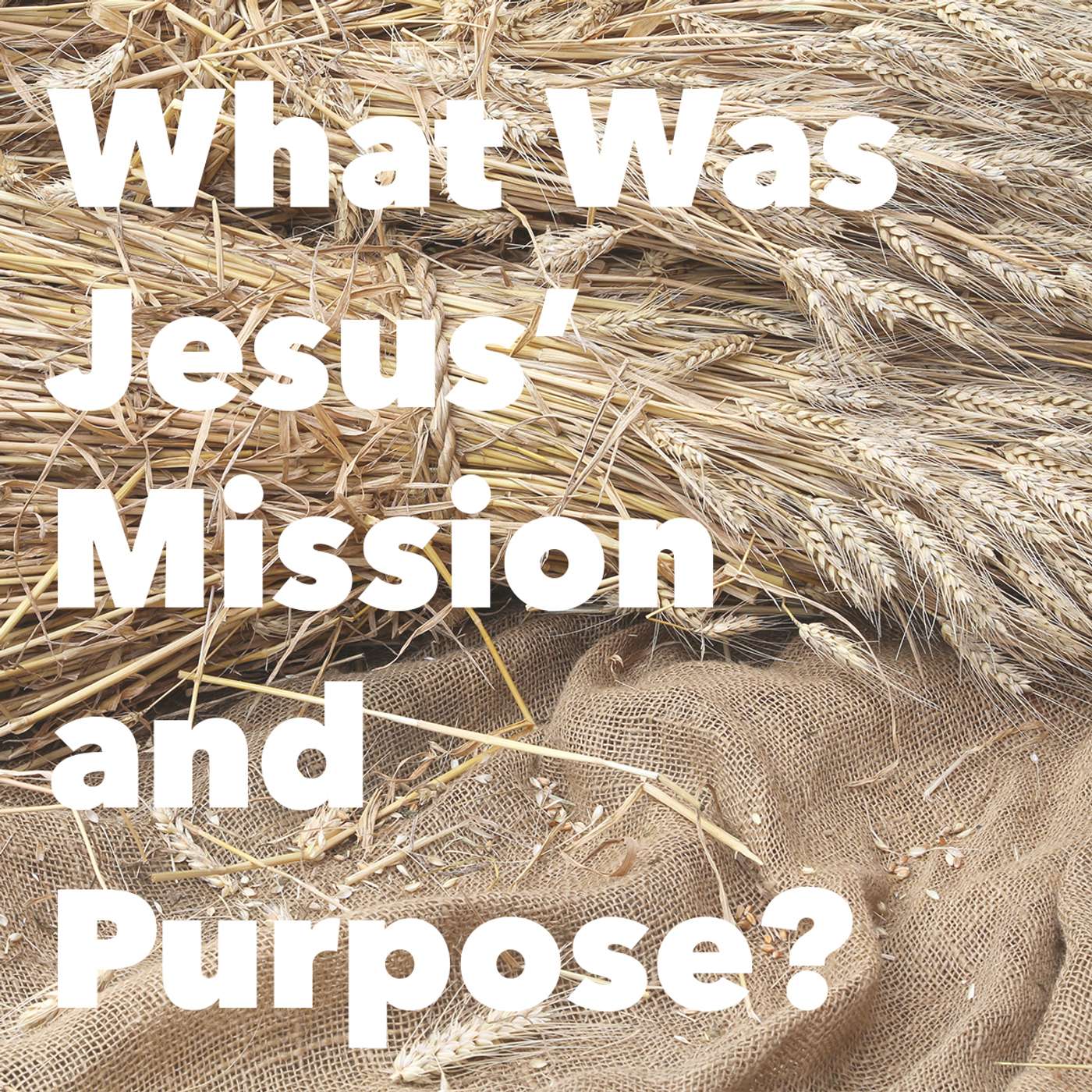 Episode 189: What Was Jesus’ Mission and Purpose? episode artwork