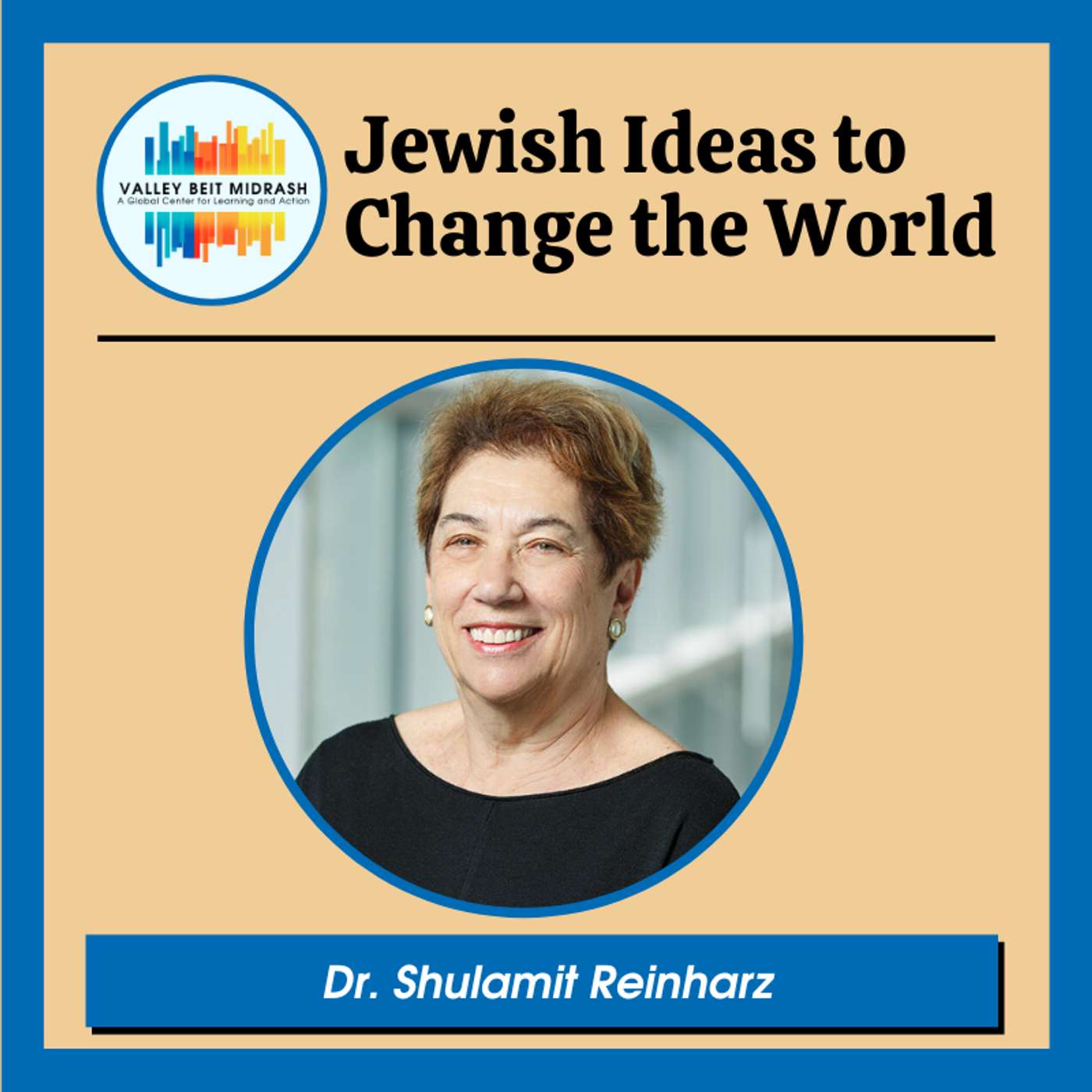 Hiding in Holland: A Resistance Memoir