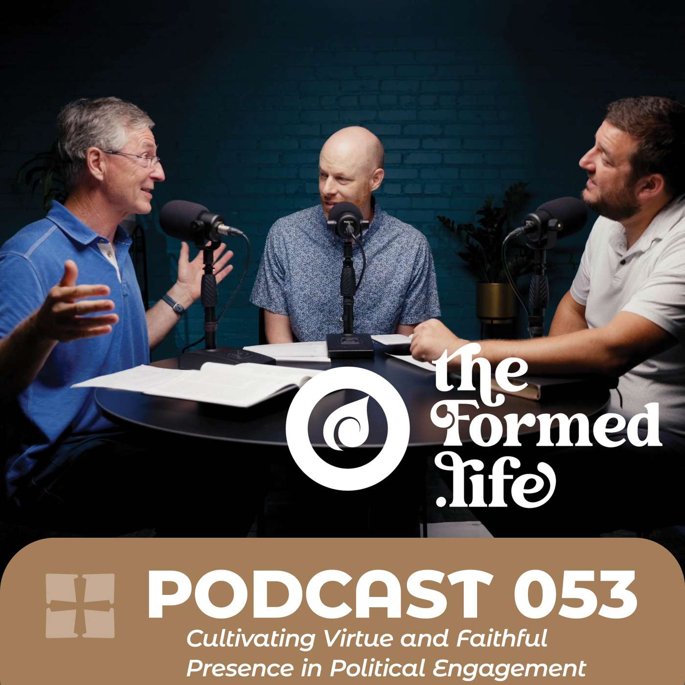 POD 053 | Cultivating Virtue and Faithful Presence in Political Engagement episode artwork