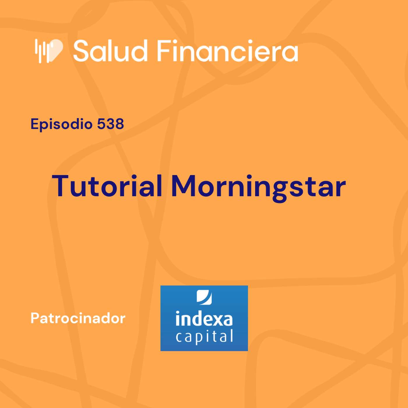 #538- Un tutorial de Morningstar