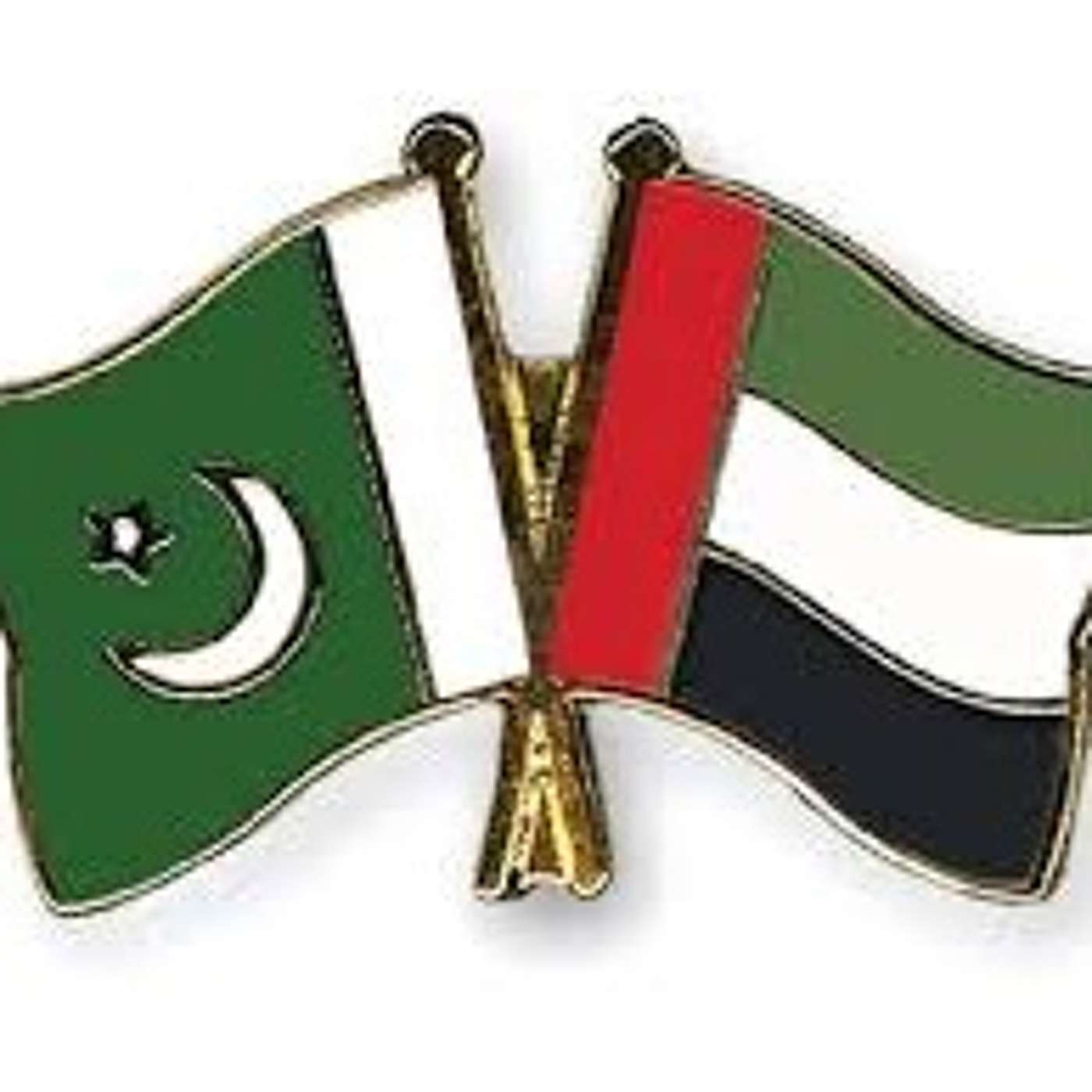 Pakistan and the UAE Will Always be "Strategic Partners," Says Qureshi (20.12.20)