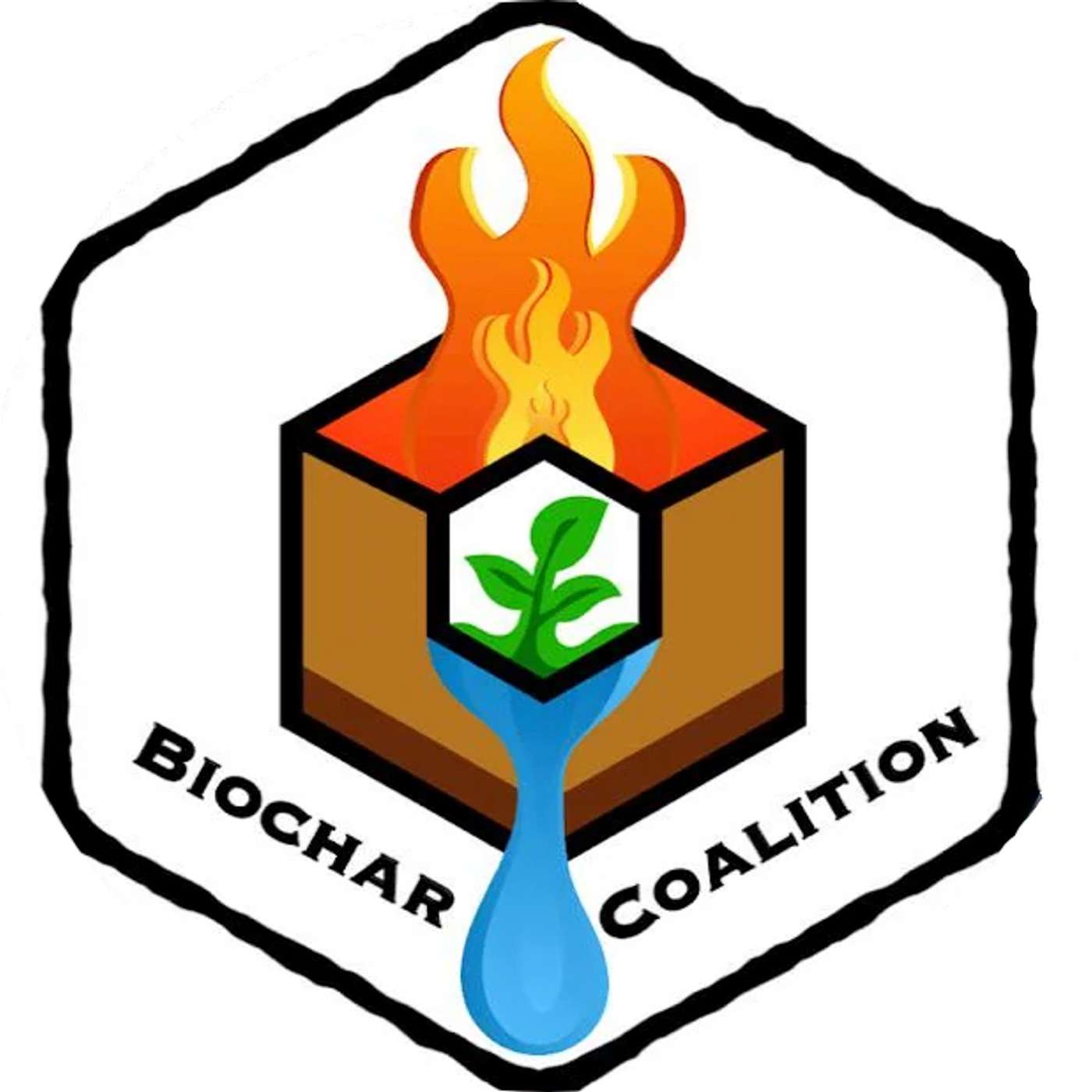 January 2026 - Biochar Coalition with Tabor & Ken episode artwork