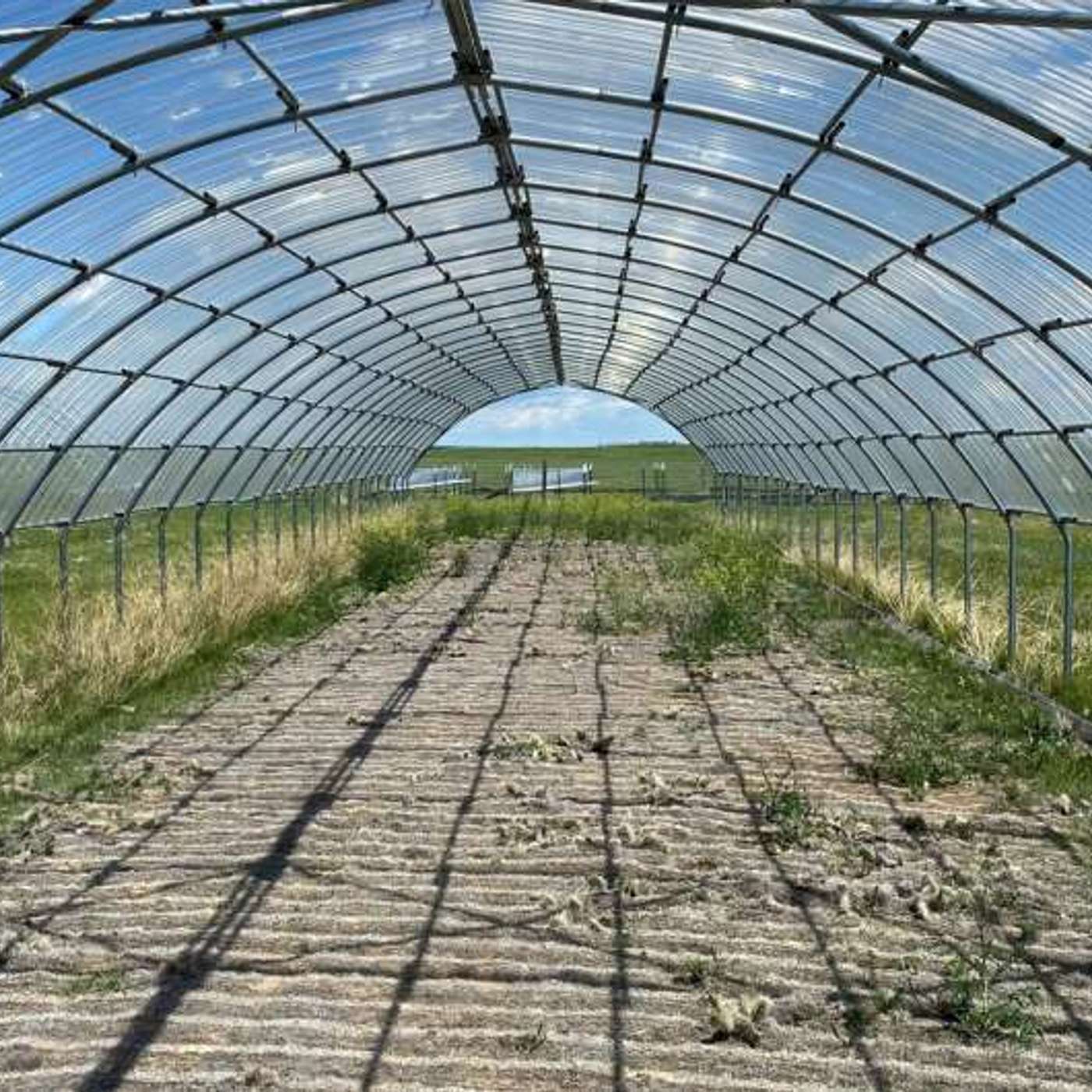 Underestimation of Extreme Drought Impact on Global Ecosystems, Oil Palm Plantations Triple Infant Mortality in Wild Macaques, New Antibiotic Zosurabalpin Shows Promise Against Deadly Resistant 'Crab' Bacteria, and more..