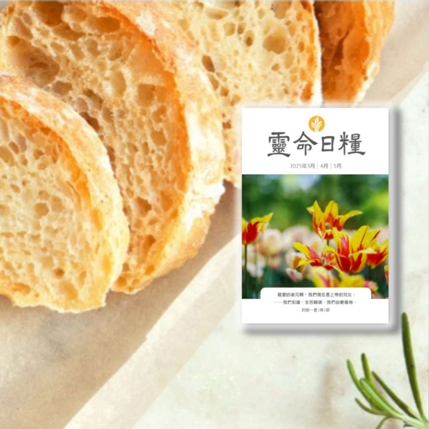 4月11日 悲傷中得安慰