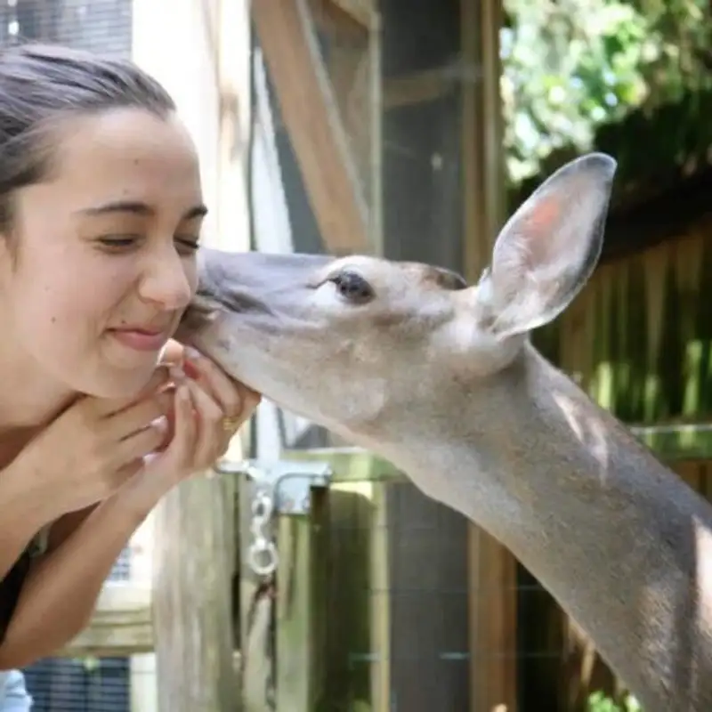Shutdown - explicação sobre o que o Governo dos EUA está fazendo