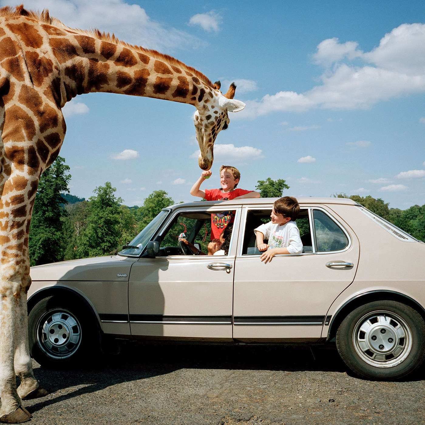 The hypercurious mind The hypercurious mind