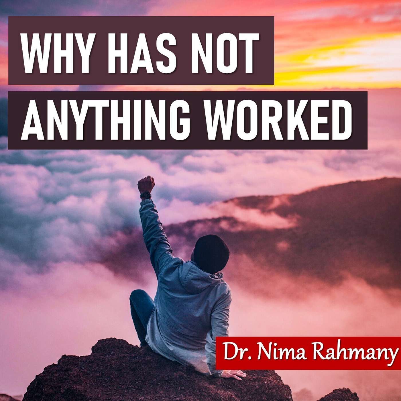 Why Has Not Anything Worked episode artwork
